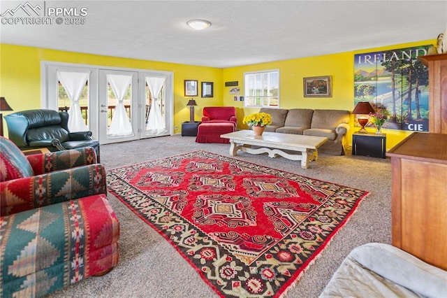 view of carpeted living area