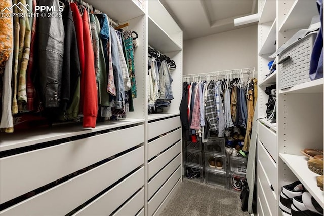 spacious closet with dark carpet