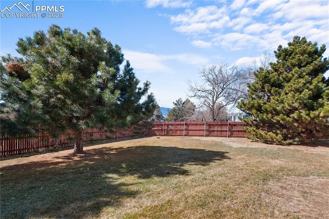 view of yard featuring a fenced backyard