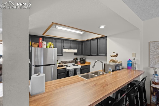 kitchen featuring electric range, butcher block counters, freestanding refrigerator, under cabinet range hood, and a sink