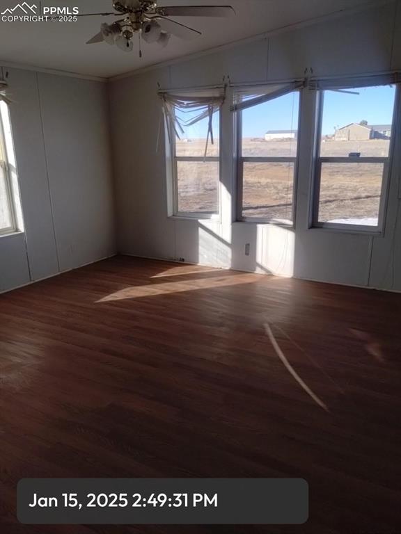 empty room featuring ornamental molding, plenty of natural light, wood finished floors, and a ceiling fan