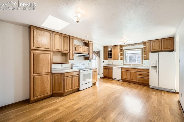 kitchen with white appliances, light countertops, light wood-type flooring, open shelves, and a sink