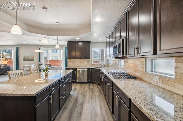 kitchen with light wood finished floors, a raised ceiling, a center island, stainless steel appliances, and a sink