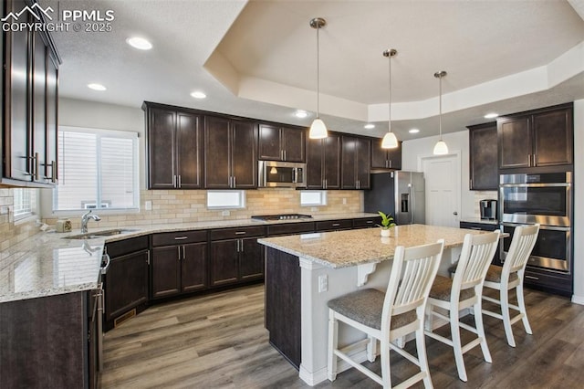 kitchen featuring appliances with stainless steel finishes, dark brown cabinets, a tray ceiling, and wood finished floors