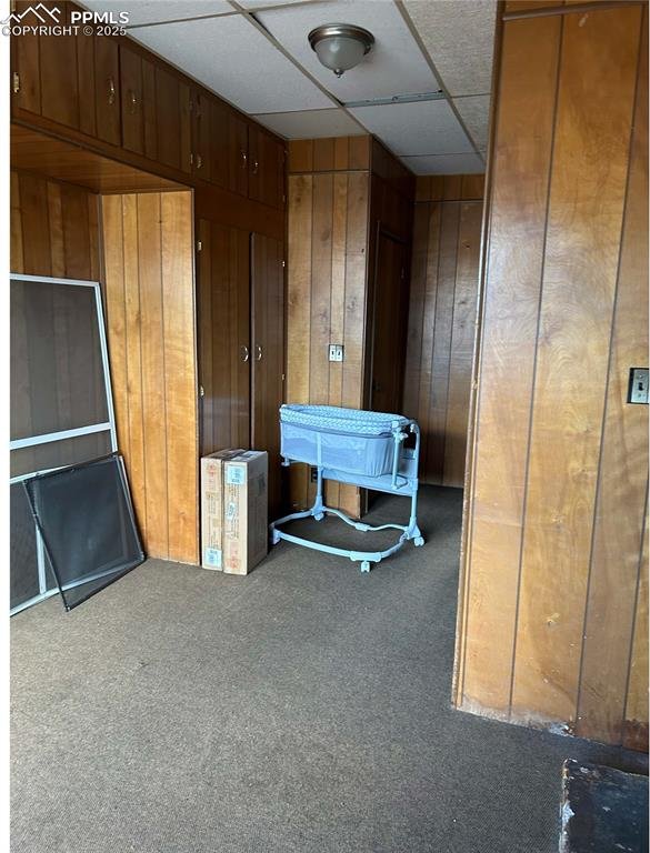 miscellaneous room featuring wooden walls and carpet