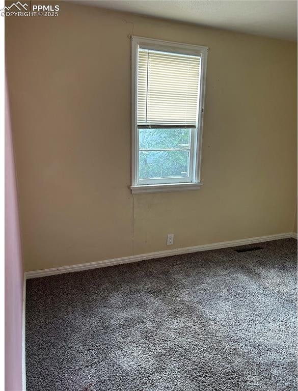 empty room featuring plenty of natural light, baseboards, and carpet