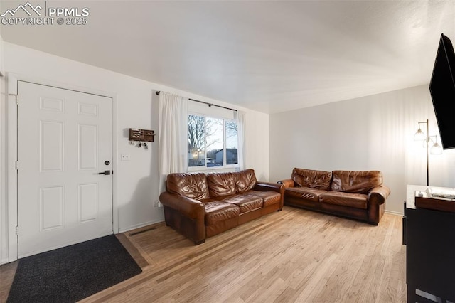 living room with light wood-type flooring