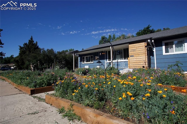 single story home with a garden