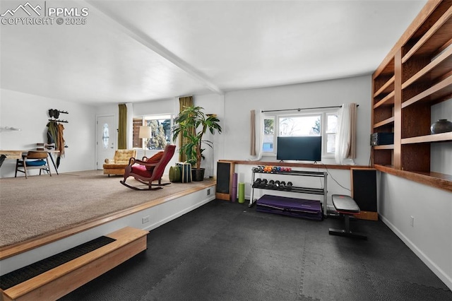 exercise room featuring baseboards