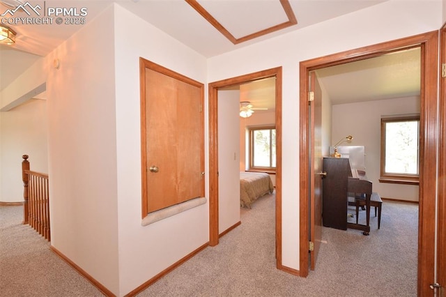 hall featuring carpet, plenty of natural light, and baseboards