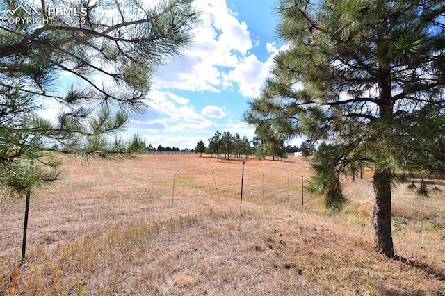 view of yard featuring a rural view