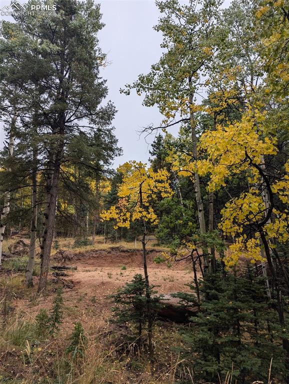 714 Will Stutley Dr, Divide CO, 80814 land for sale