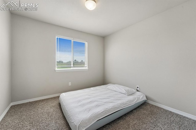 bedroom with carpet floors and baseboards