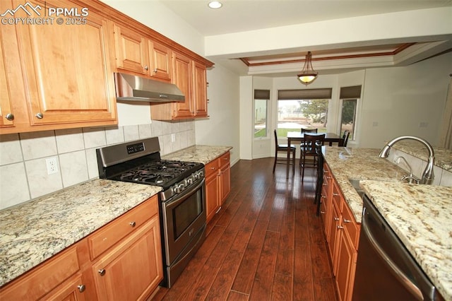 kitchen featuring under cabinet range hood, stainless steel appliances, dark wood-style flooring, a sink, and a raised ceiling