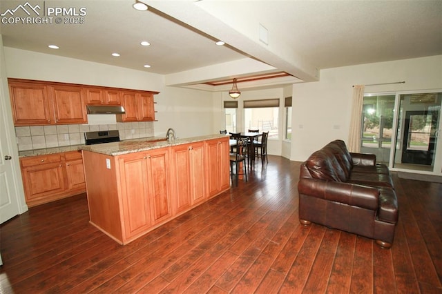 kitchen with open floor plan, dark wood-type flooring, and decorative backsplash