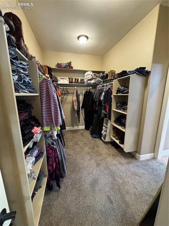 walk in closet featuring carpet