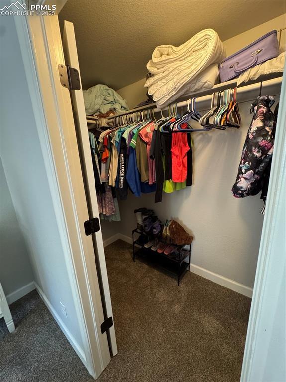 walk in closet with dark carpet