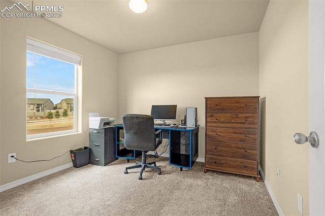 office area featuring carpet flooring and baseboards