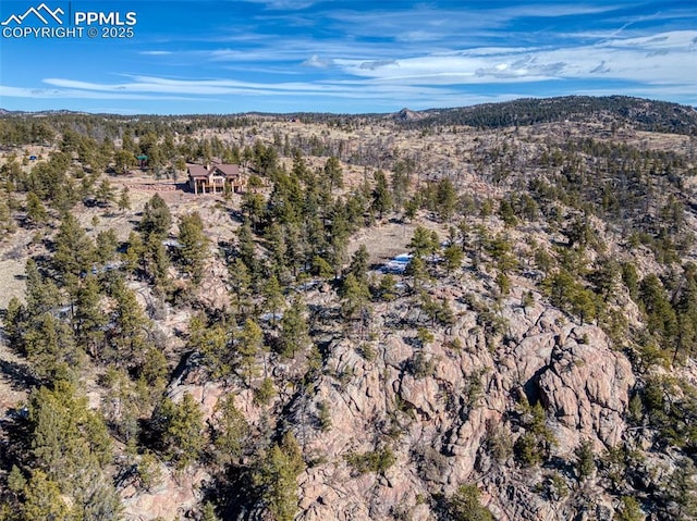 drone / aerial view featuring a view of trees