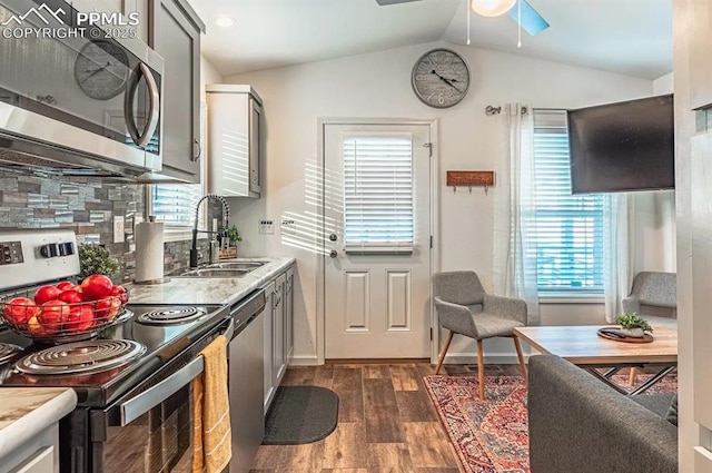 kitchen with stainless steel appliances, a sink, vaulted ceiling, tasteful backsplash, and dark wood finished floors