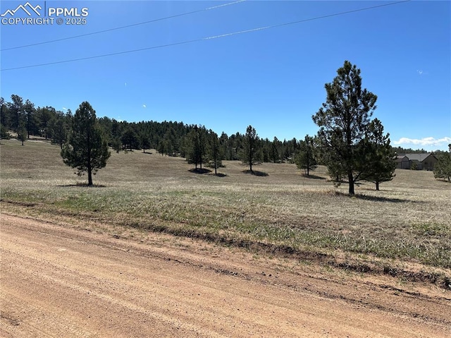 38 Apache Cir, Florissant CO, 80816 land for sale