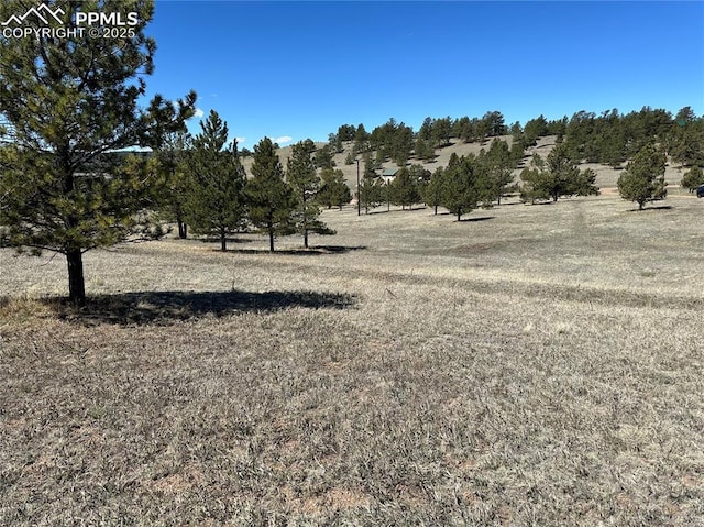 Listing photo 2 for 38 Apache Cir, Florissant CO 80816