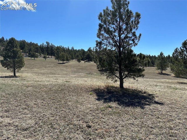 Listing photo 3 for 38 Apache Cir, Florissant CO 80816