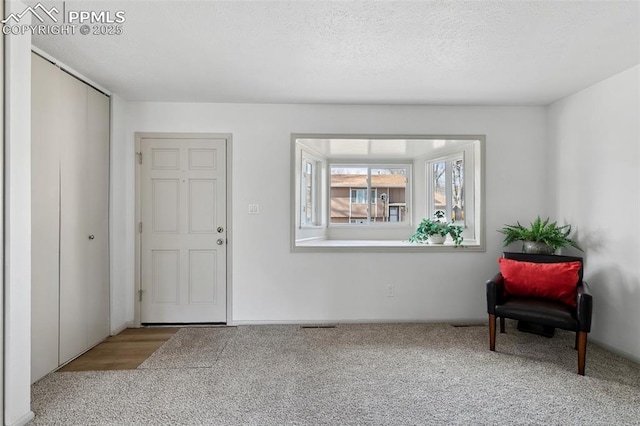 interior space featuring carpet and a textured ceiling