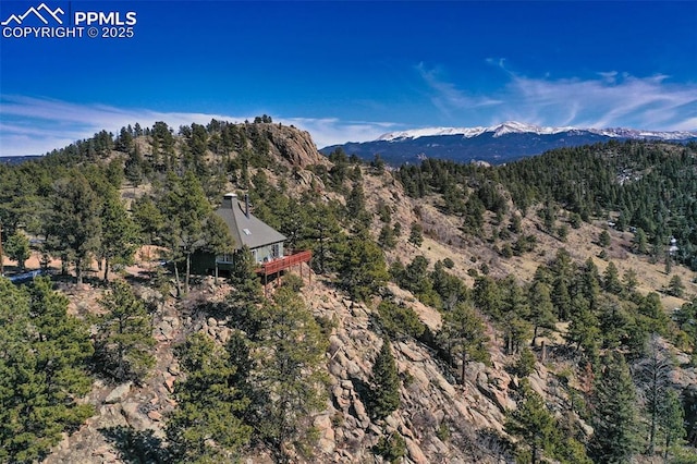 view of mountain feature with a wooded view