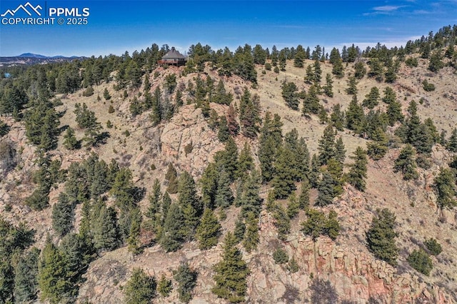 aerial view featuring a view of trees