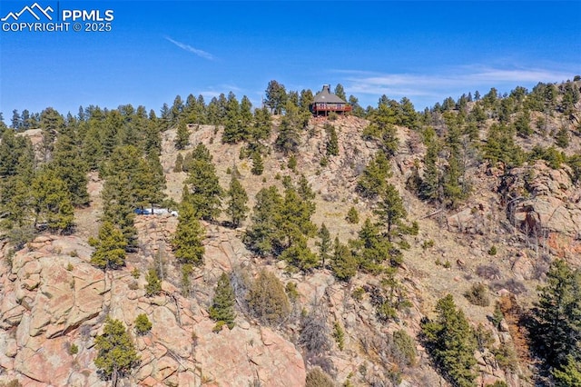 birds eye view of property featuring a wooded view