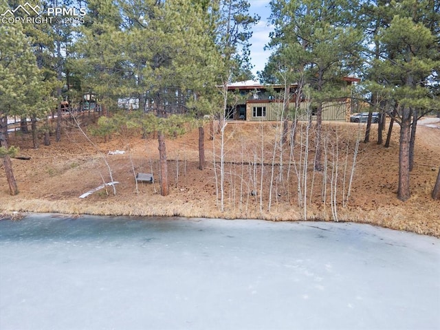 view of yard with a water view