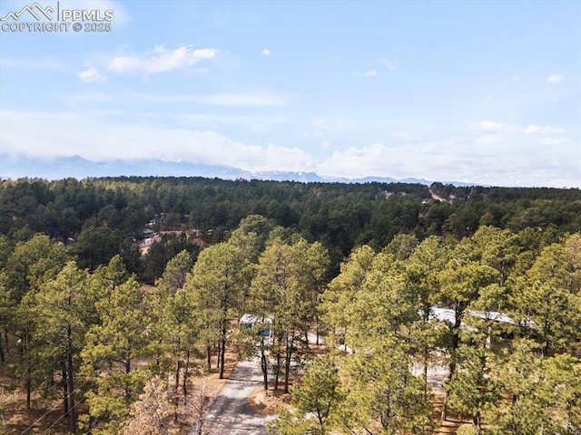 bird's eye view with a forest view