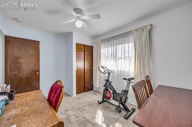 exercise room featuring carpet and ceiling fan