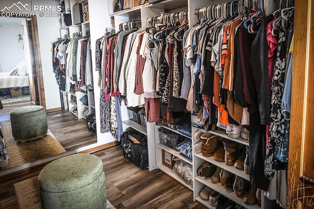 walk in closet with dark wood finished floors