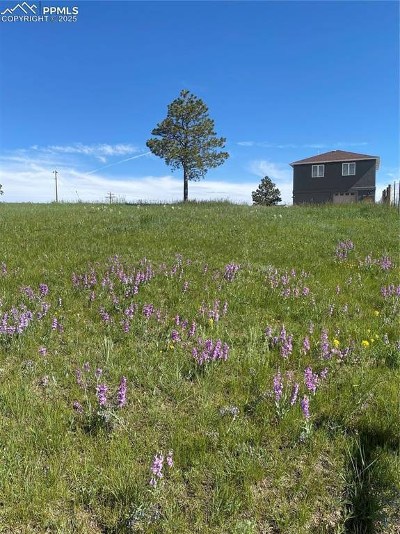 view of yard with a rural view