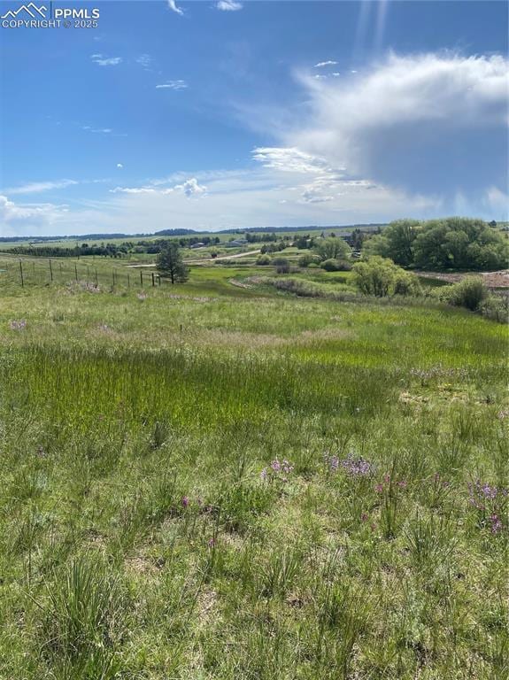 view of local wilderness with a rural view