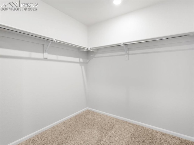walk in closet featuring carpet flooring