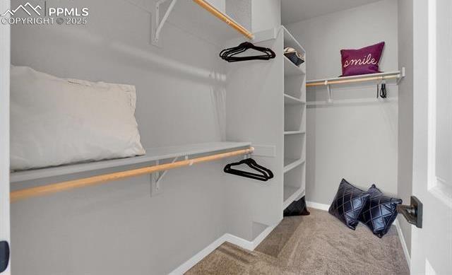 walk in closet featuring carpet