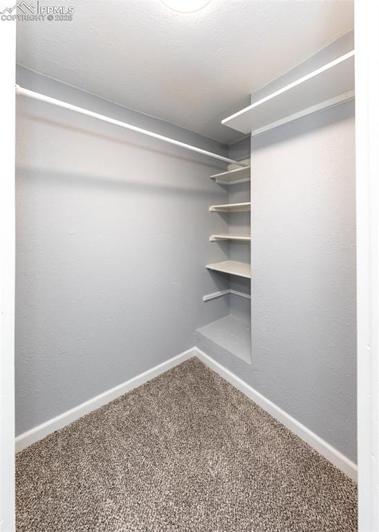 spacious closet with carpet flooring