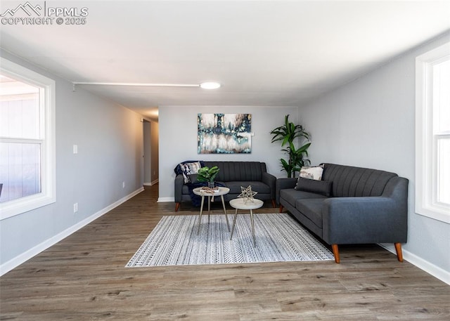 living room with baseboards and wood finished floors