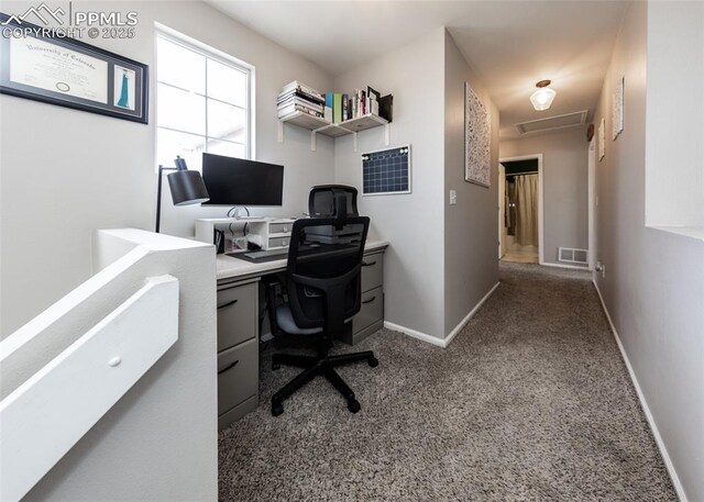 4679 Canyon Wren Ln, Colorado Springs, CO 80916 - carpeted office featuring baseboards and attic access