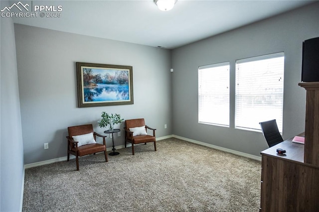 carpeted office with baseboards