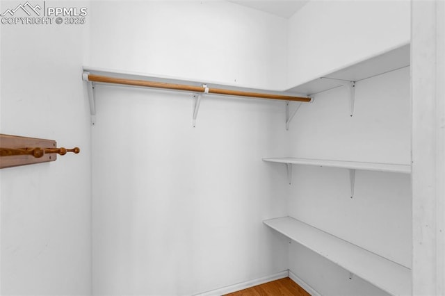 walk in closet featuring light wood-style flooring