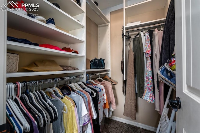 view of spacious closet