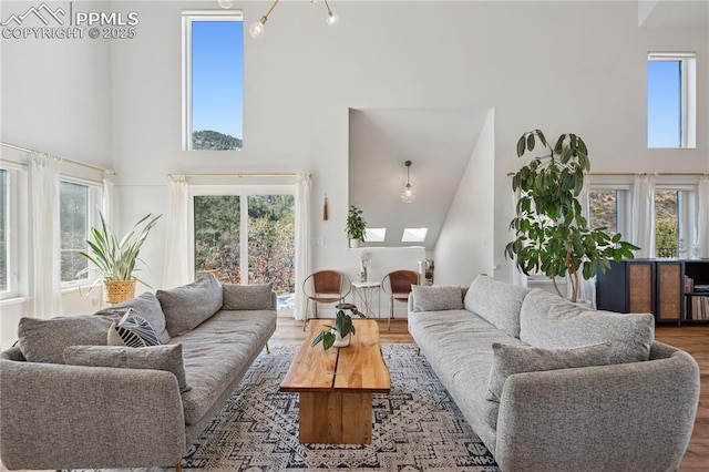 living room featuring plenty of natural light, a towering ceiling, and wood finished floors