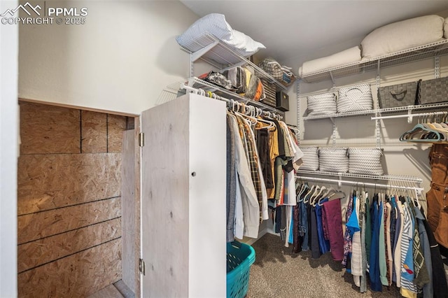 spacious closet featuring carpet