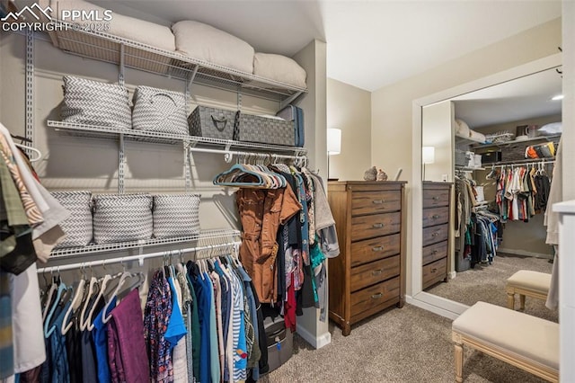 walk in closet with carpet flooring