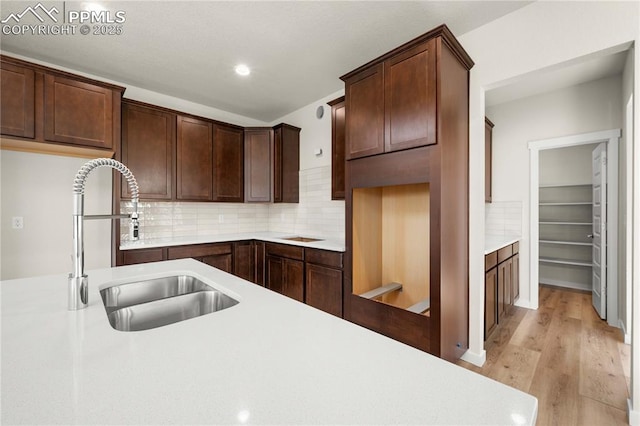 kitchen with light wood-style flooring, dark brown cabinetry, a sink, light countertops, and tasteful backsplash