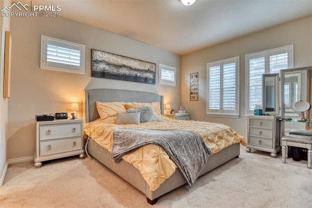 bedroom with carpet floors